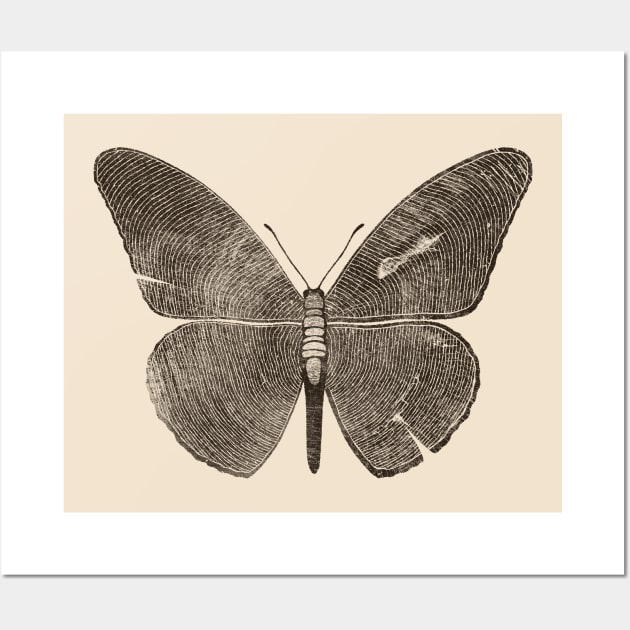 Wood Butterfly by Tobe Fonseca Wall Art by Tobe_Fonseca